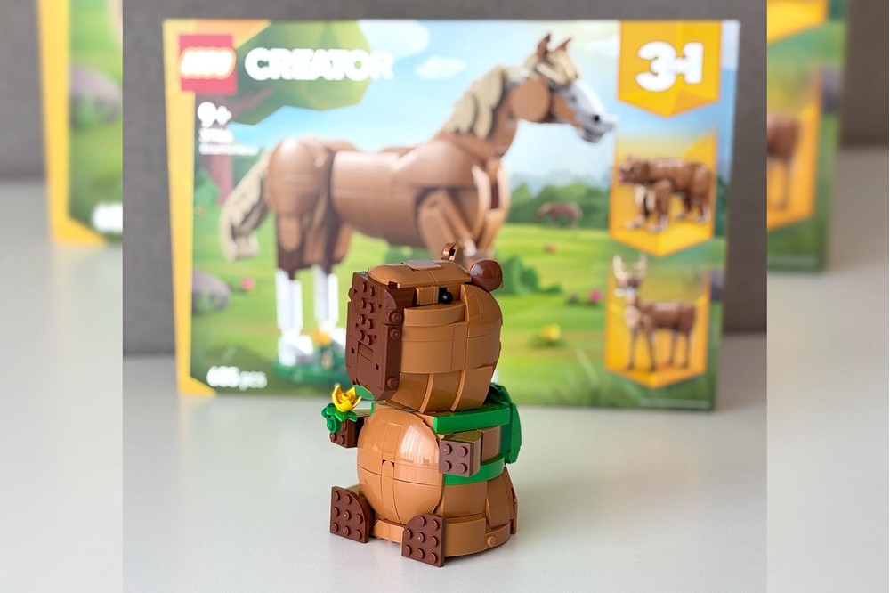 Capybara Backpacker 4