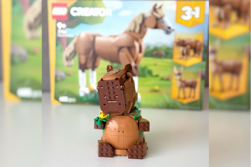 Capybara Backpacker 2