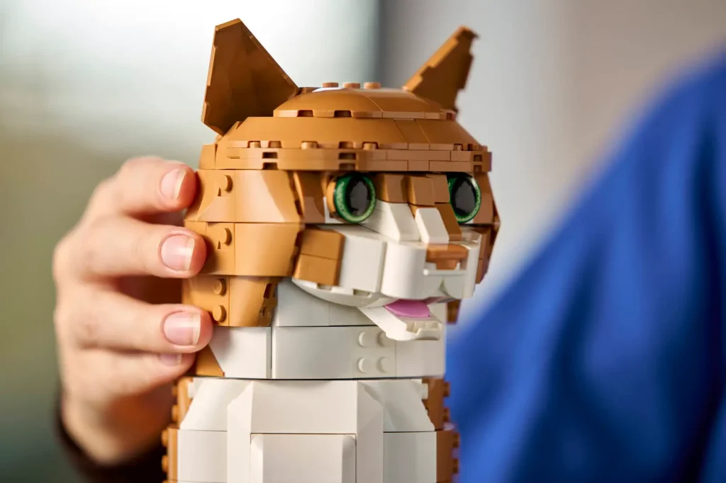 21376 «Orange Cat»m 4