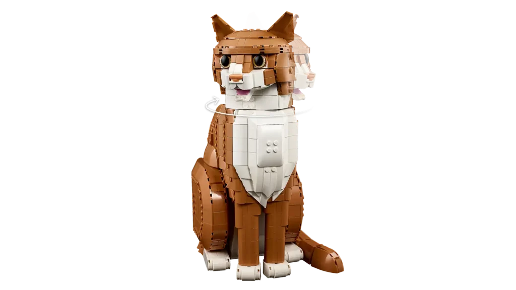 21376 «Orange Cat»