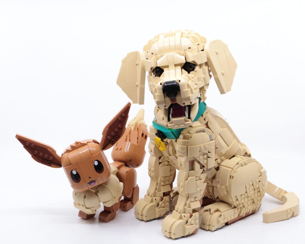11384 Golden Retriever Puppy