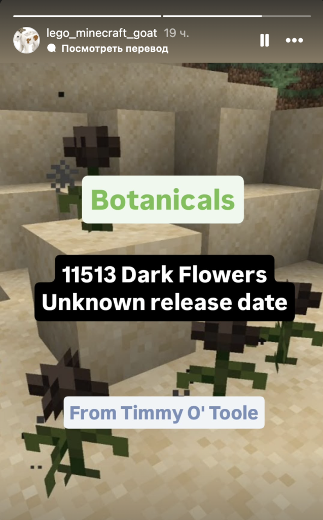 11513 Dark Flowers