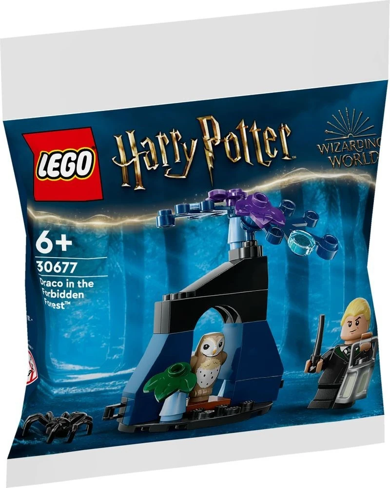 LEGO GWP 30677