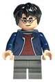 Albus Severus Potter / Harry Potter — LEGO Harry Potter 76405 Гоґвортський експрес (Collectors’ Edition)