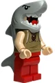 Viktor Krum — LEGO Harry Potter 76420 Тричаклунський турнір: Чорне озеро