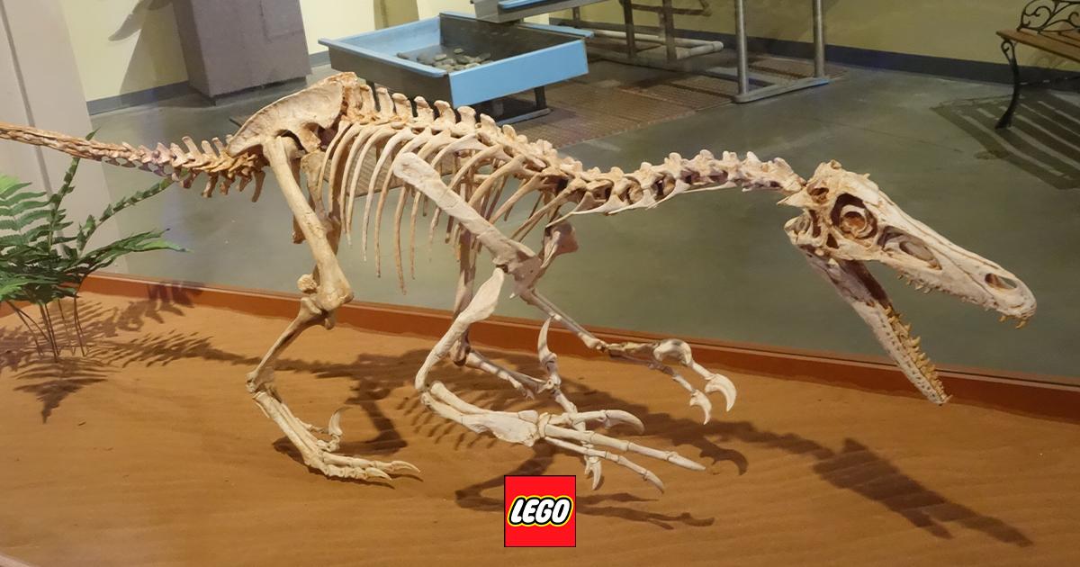 LEGO Jurassic World: за чутками, у 2027 році з’явиться набір зі скам’янілостями велоцирапторів