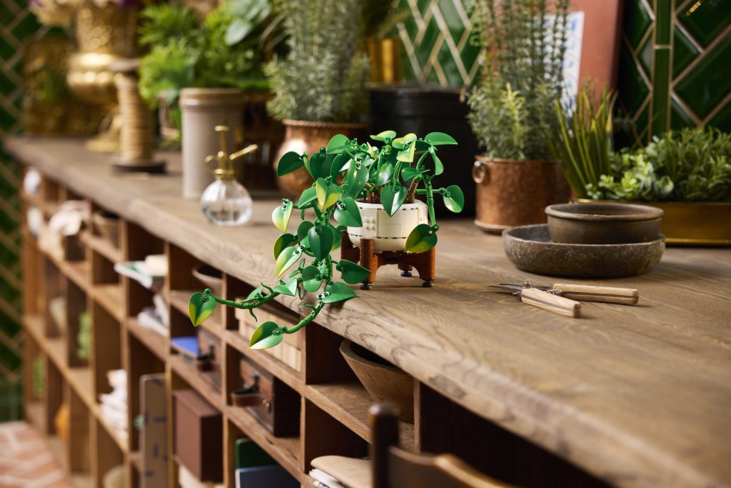 LEGO Botanicals 11512 Hanging Golden Pothos