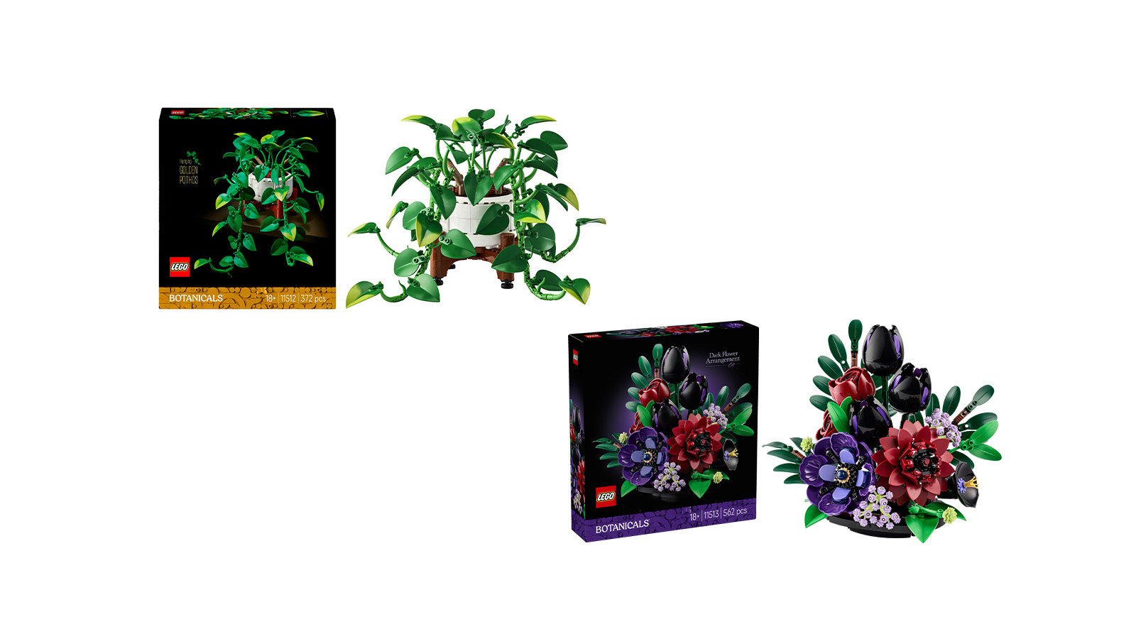 LEGO Botanicals серпня 2026 року: 11512 Hanging Golden Pothos та 11513 Dark Flower Arrangement офіційно розкриті